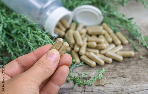 Fototapeta Sagebrush supplements and homeopathy. Selective focus.