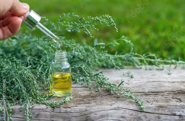 Fototapeta Sagebrush supplements and homeopathy. Selective focus.