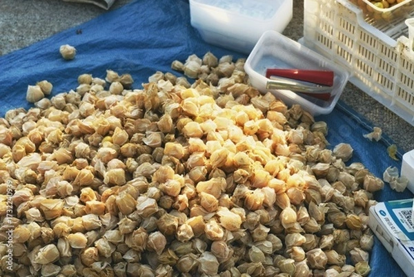 Obraz 秋日森林集市：蓝莓、猕猴桃、榛子与蘑菇的丰收盛宴【Autumn Forest Market: A Bounty of Blueberries, Kiwis, Hazelnuts, and Mushrooms】