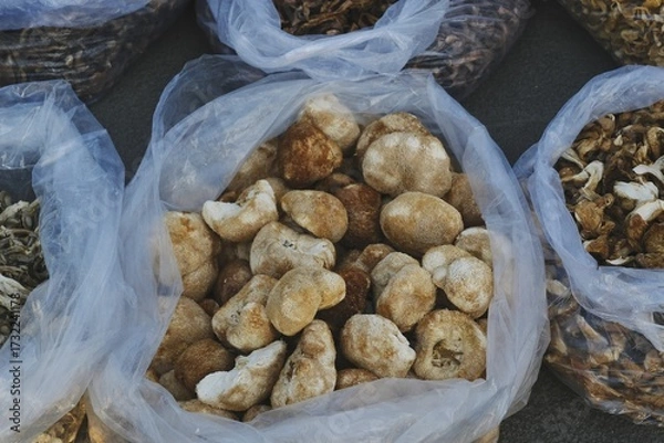 Obraz 秋日森林集市：蓝莓、猕猴桃、榛子与蘑菇的丰收盛宴【Autumn Forest Market: A Bounty of Blueberries, Kiwis, Hazelnuts, and Mushrooms】