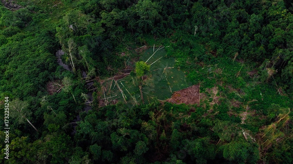 Fototapeta Aerial view of tropical rainforest with visible deforestation, showing cleared land and fallen trees among dense greenery, highlighting the impact of human activity on the natural environment.