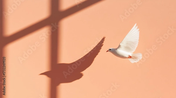 Obraz Light and Shadow, A bird's shadow glides across a sunlit wall, creating a striking contrast of light and dark.