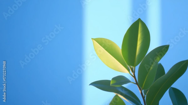 Obraz Light and Shadow, Silhouette of plants seen through frosted glass, creating a serene and artistic ambiance.