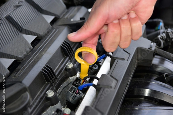 Fototapeta Checking the oil level in the car engine
