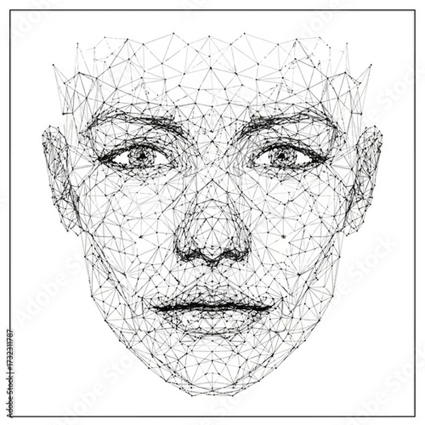 Fototapeta Abstract geometric face portrait with interconnected dots and lines on white background.