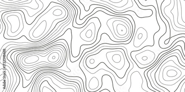 Fototapeta Topographic map background with geographic grid for hiking and mountain sport. luxury topographic wavy pattern and geographic grid map design. paper texture Imitation of a geographical map shade.