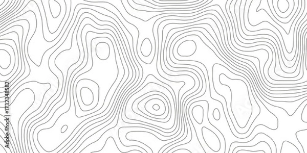 Fototapeta Topographic map background with geographic grid for hiking and mountain sport. luxury topographic wavy pattern and geographic grid map design. paper texture Imitation of a geographical map shade.