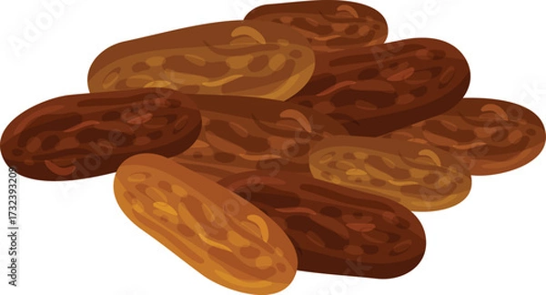 Fototapeta vector illustration of dried grapes