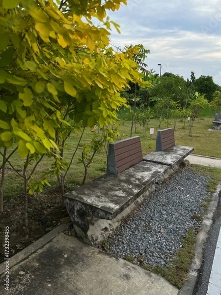 Obraz bench in the park