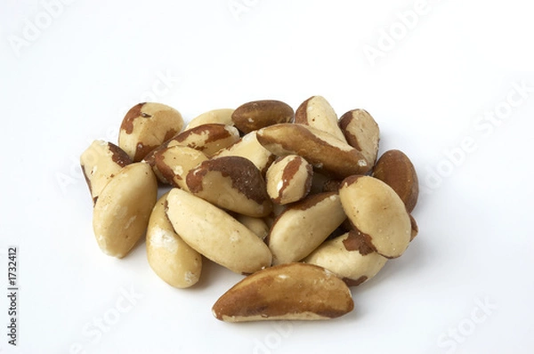 Obraz brazil nuts