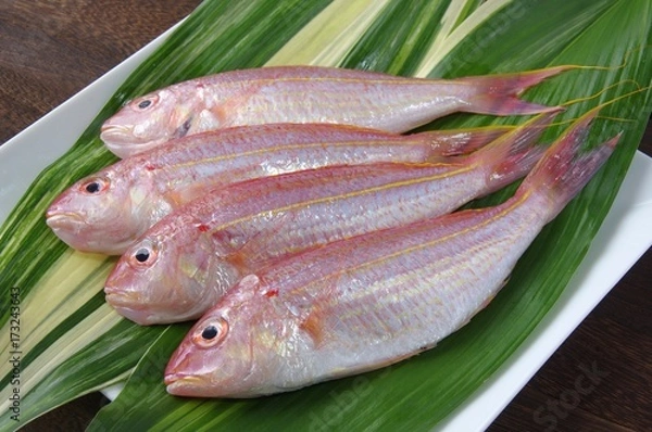 Fototapeta イトヨリ　