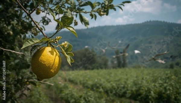 Obraz A ripe, yellow lemon hangs from a branch, bathed in sunlight, against a backdrop of a lush green field and distant mountains.