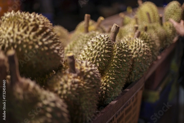 Fototapeta Abundance of fresh tropical durian fruit displayed at an asian market stall. Its exotic spiky green and yellow produce creates distinct aroma, inviting curious visitors