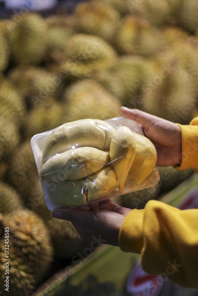 Fototapeta Hand carefully selects fresh, delicious package of tropical durian fruit, an exotic food found in bustling market shop, showing eager interest in this unique product