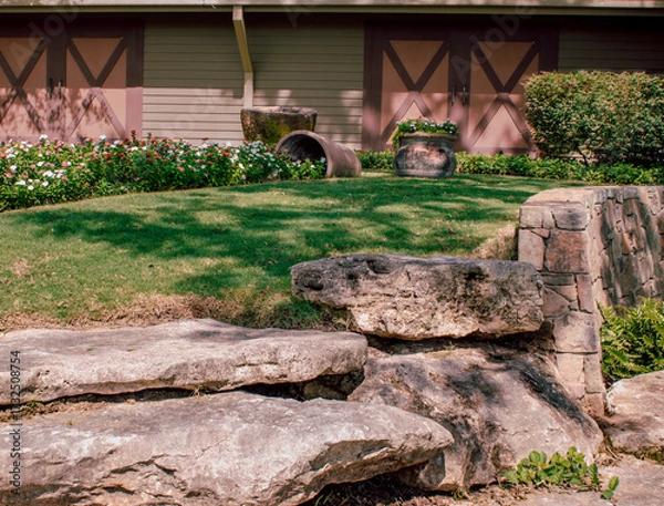 Fototapeta flowers in a garden coming out of a pot