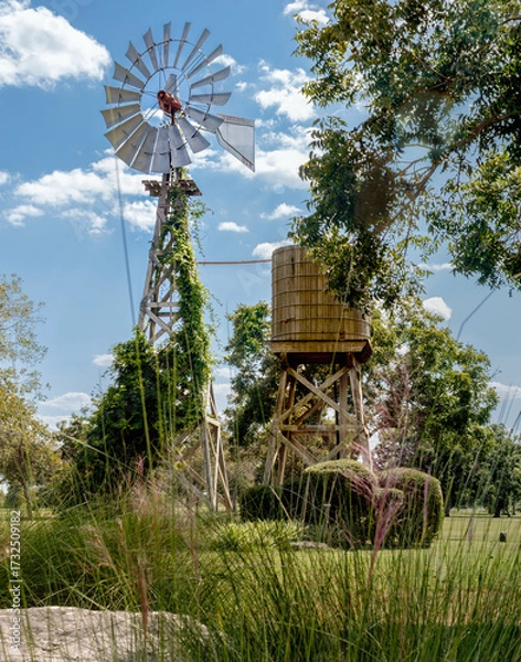 Fototapeta old windmill in the countryside next to water tank