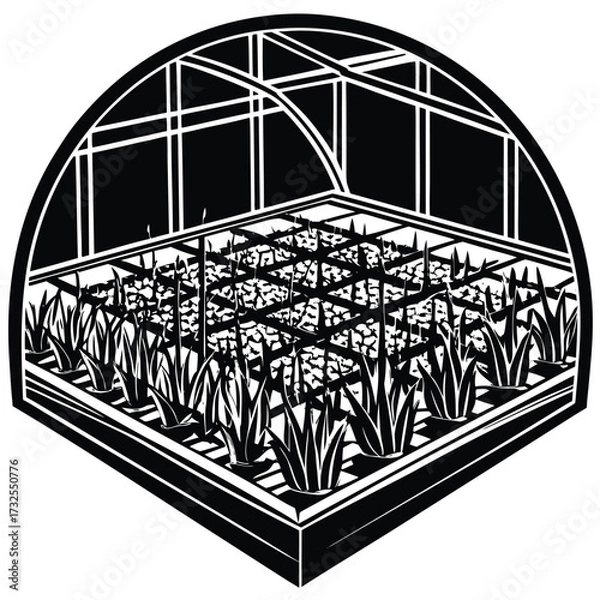Fototapeta Vector hydroponic rice fields growing in