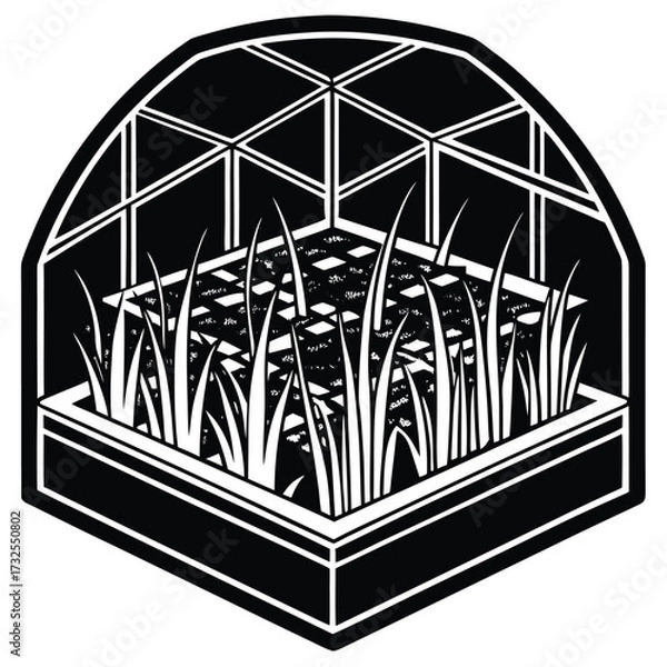 Fototapeta Vector hydroponic rice fields growing in a Mars greenhouse