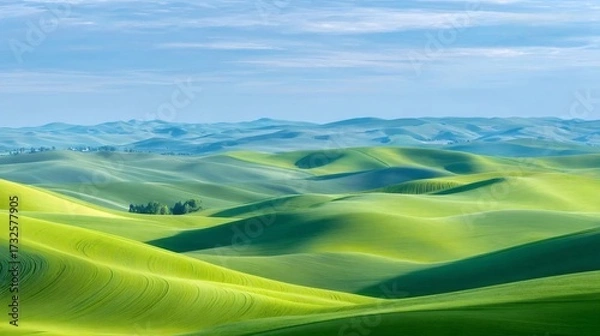 Obraz 緑豊かな丘陵地帯が広がる青空の下の夏景色