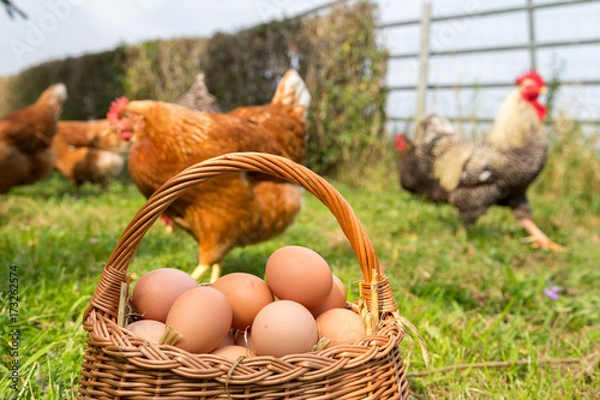 Obraz Właściciel bio