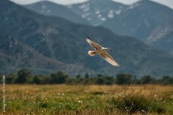 Obraz Bird Flying in the sky on transparent background
