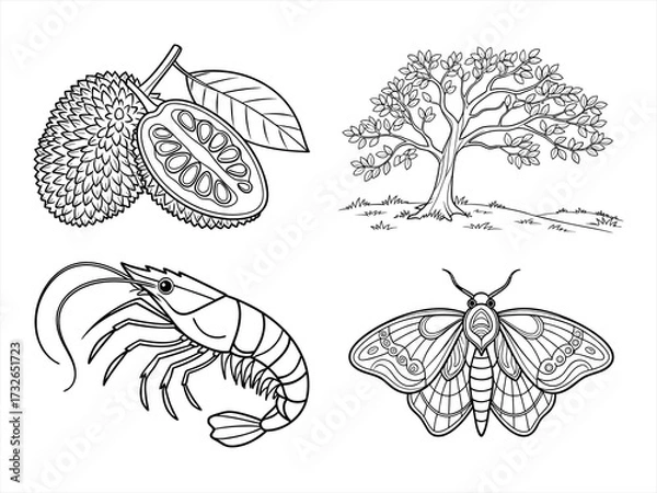 Fototapeta coloring page line art the moth black vector bundle
