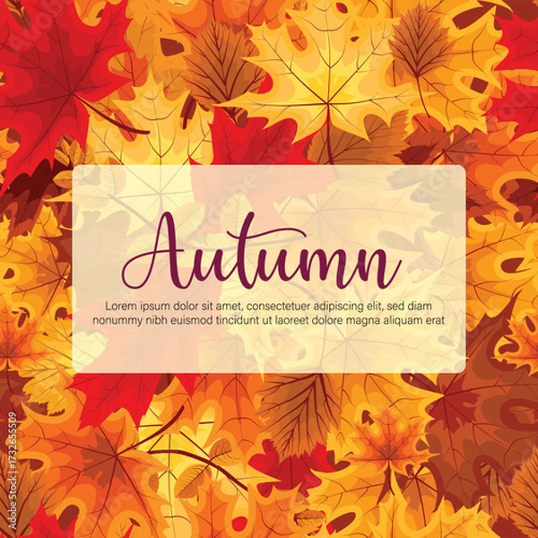 Fototapeta Autumn leaves set. Fall maple, oak, chestnut leaves, berries, acorn, forest foliage. Botanical elements of natural floral design. Flat vector illustration isolated on white background