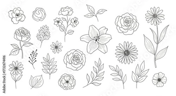 Fototapeta Elegant line art illustration of assorted flowers and leaves for botanical designs and decoration