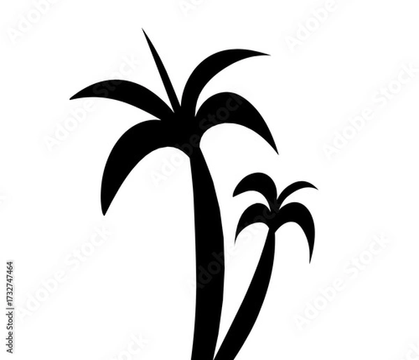 Fototapeta vector illustration of a palm tree