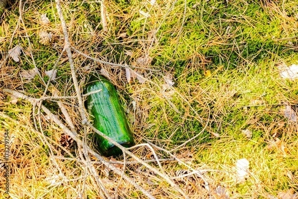 Fototapeta Green glass bottle partially buried in grass and twigs, surrounded by natural elements, showcasing environmental impact and litter in outdoor settings