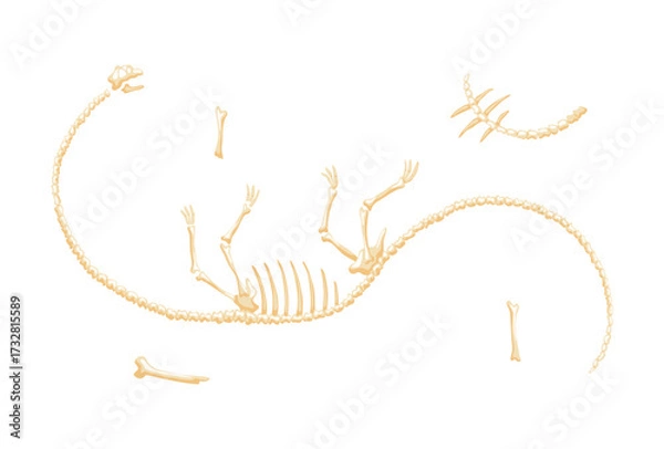 Fototapeta Dinosaur skeleton vector illustration. Dino skeletons, dinosaurs, fossils side view isolated. Antique animals skull and bones. Ancient creature monsters museum