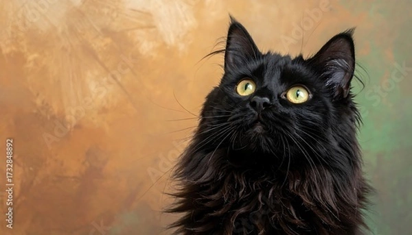 Fototapeta A long-haired black cat with piercing yellow eyes gazes upwards. The backdrop is a painted canvas of warm earth tones