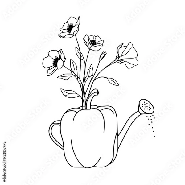 Fototapeta Flowers in a pepper shaped watering can with water droplets in a black and white outline drawing style