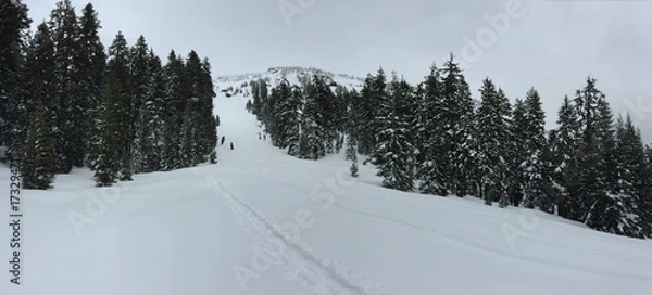 Obraz Snow Panorama 