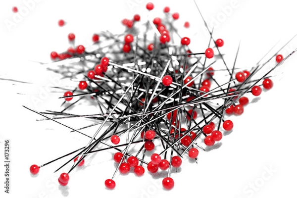 Obraz red needles