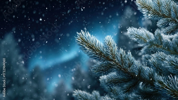 Fototapeta Close-up of snowy pine branches with falling snowflakes against a dark blue winter forest background
