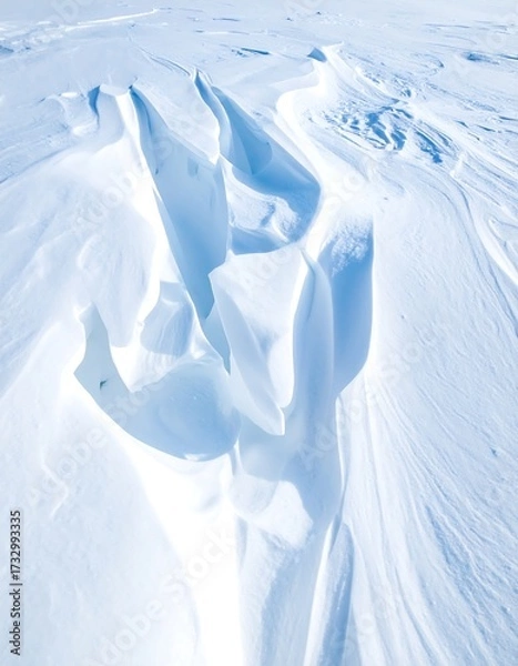 Obraz Snowy landscape, wind patterns