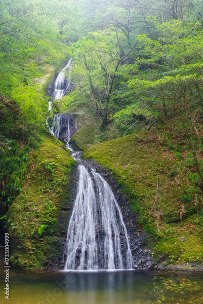 Fototapeta 阿寺の七滝（愛知県新城市）