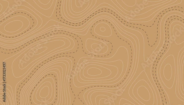 Fototapeta Topography background. Vector banner. Topography background. Vector geographic contour map. Cartography background paper texture.