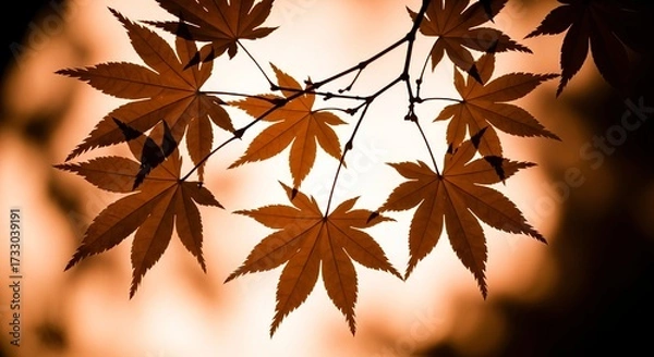 Fototapeta Warm amber maple leaves backlit by soft sunlight create a stunning autumnal backdrop for nature and seasonal designs.