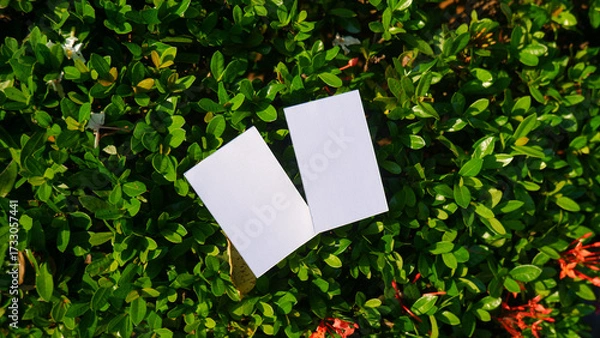 Obraz plain business card mockup on green lush nature background