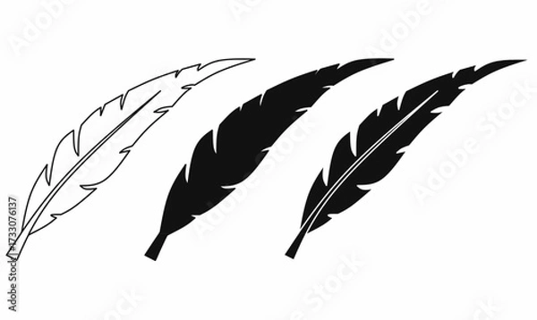 Fototapeta Vector feather set with outline and silhouette style, quill illustration for boho, tribal, writing, tattoo, decoration, logo, craft, and natural design use