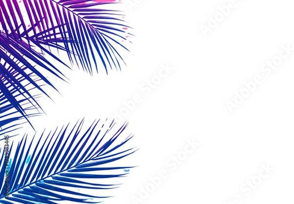 Obraz Coconut leaf wallpaper