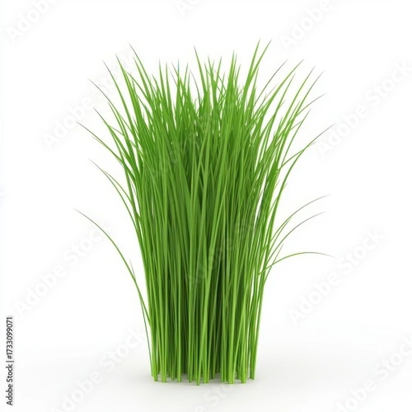 Fototapeta Lush Green Grass Turfs for Landscaping and Gardening Projects