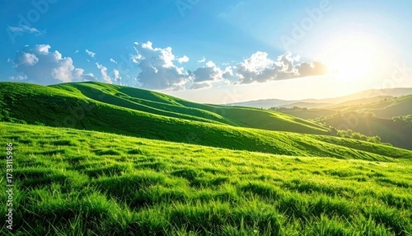 Fototapeta Lush Green Hills Under Bright Sunlight with Cloudscape in Summer