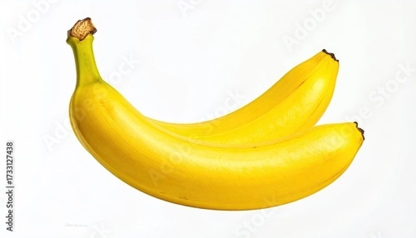 Fototapeta Two ripe, yellow bananas, curving gracefully, against a plain white background