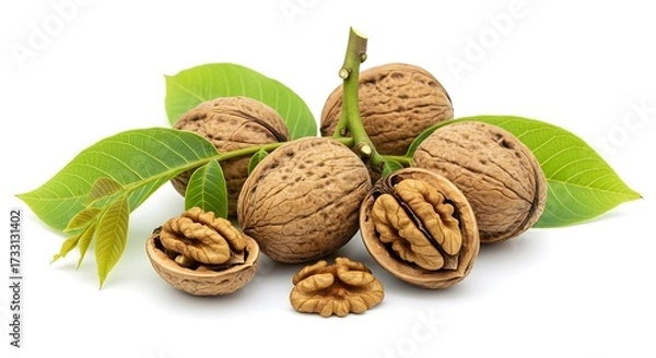 Fototapeta Fresh Walnuts with Green Leaves on White Background