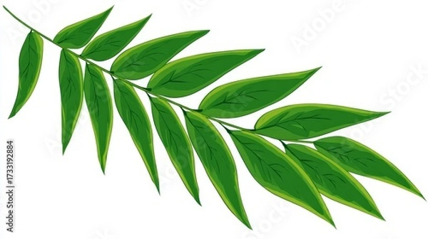 Fototapeta Illustration of a branch with many green leaves on a white background.