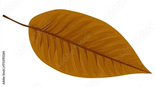 Fototapeta A single, detailed illustration of a dry, brown leaf with prominent veins and a slender stem, isolated on a white background.