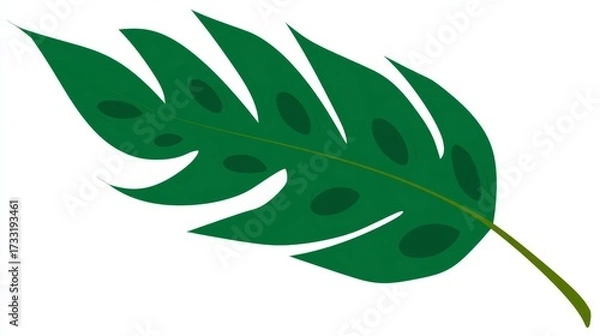 Fototapeta Green tropical leaf with holes and a stem, isolated on a white background, botanical illustration.